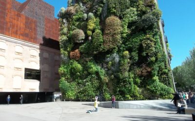 green walls: more than just a garden on the wall