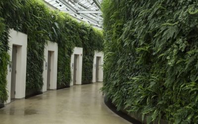 a look at beautiful green walls around the world