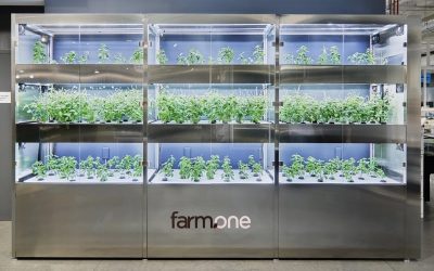 spotlight: farm.one brings the farm to whole foods