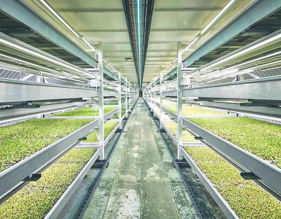 free download hydroponic farming at home