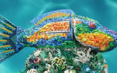 spotlight: washed ashore: turning beach waste into art