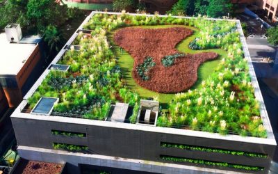 what are the benefits of green roofs?